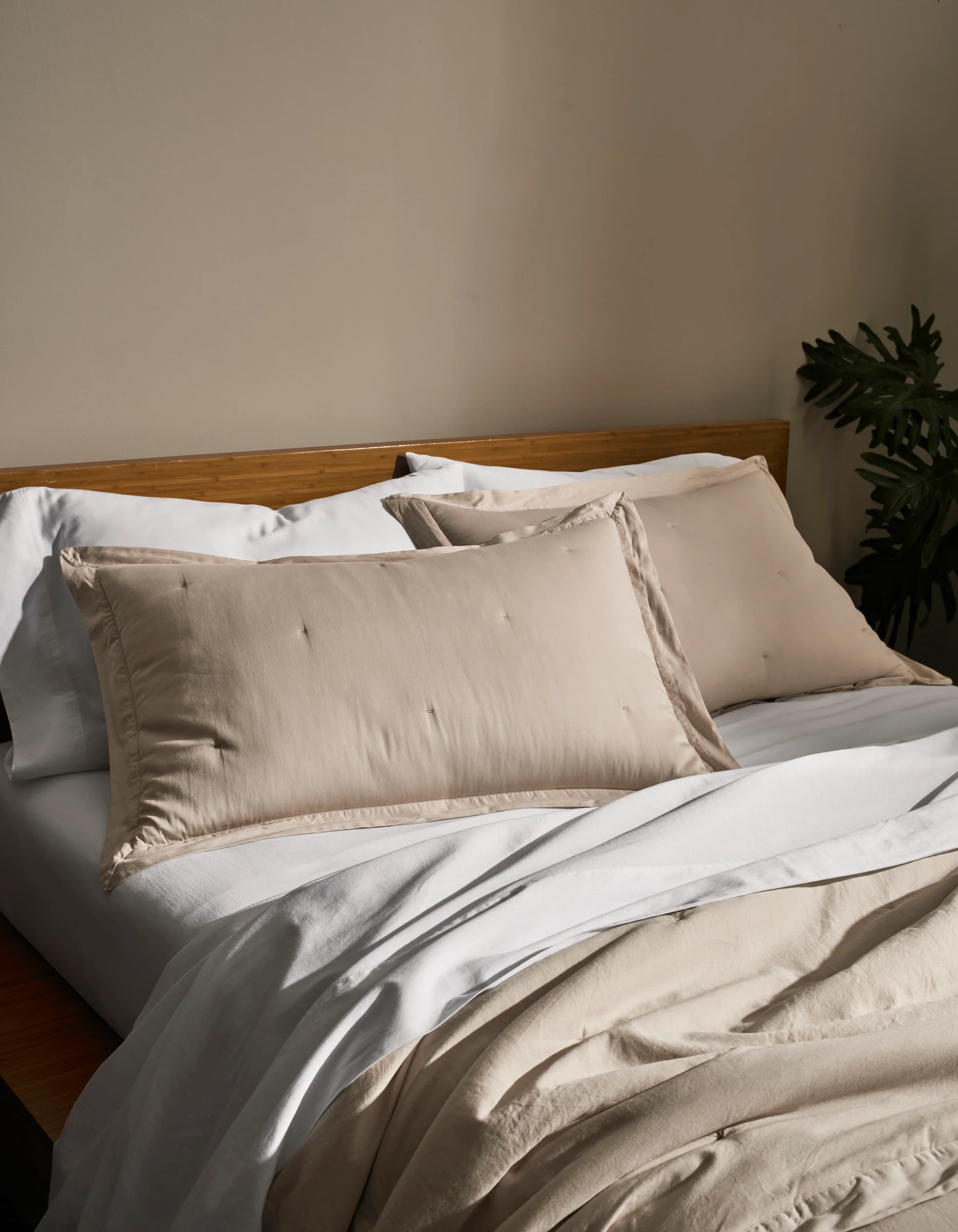 Soft-Wash Cotton Quilted Shams - Image 9